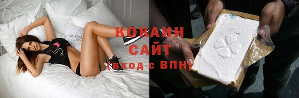 мдпв Няндома