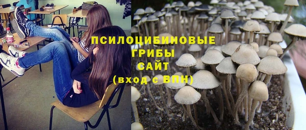 гидра Алексеевка