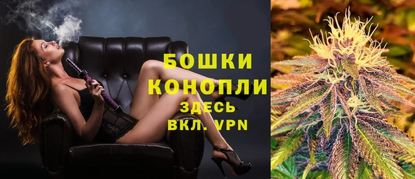 гидра Алексеевка