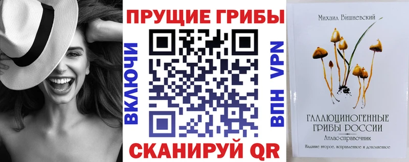 Галлюциногенные грибы Psilocybine cubensis  даркнет клад  Орлов  ОМГ ОМГ ссылки 